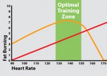 Exercise metabolism test